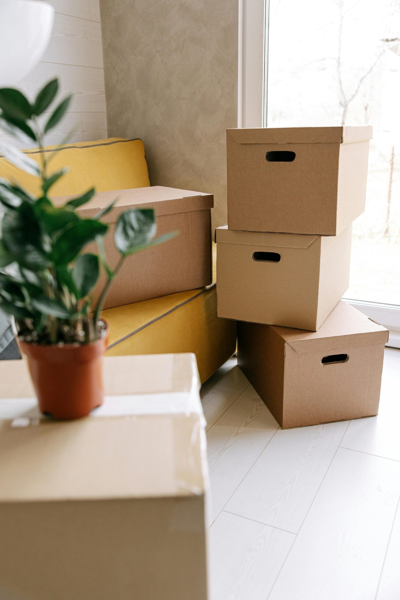 Move-Out Cleaning: The Complete Guide